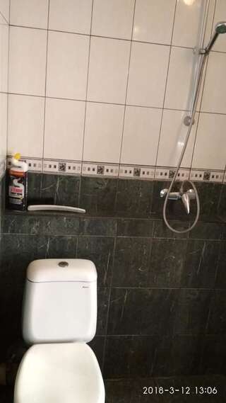 Гостевой дом Guest House Dacha Киев Двухместный номер с 1 кроватью или 2 отдельными кроватями, вид на сад-4