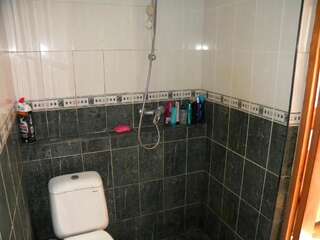 Гостевой дом Guest House Dacha Киев Семейный номер с сауной-26